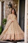 Elegance Light Pista Colour Designer Gown